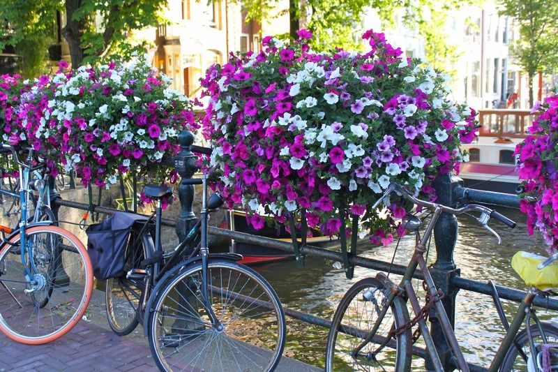 The Bank Hotel Amsterdam Bagian luar foto